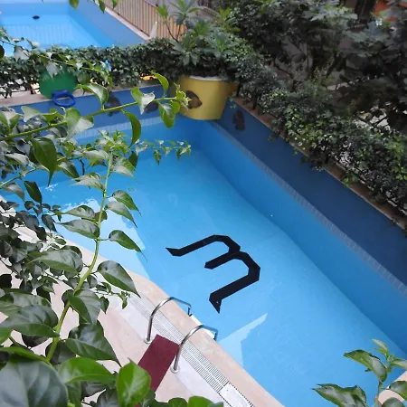 Musti מלון דירות אלאניה